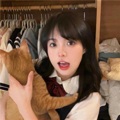 芝加哥警署第八季